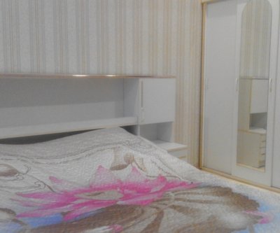 2 спальная квартира-люкс в центре: Орёл, уица Латышских Стреков, фото 1