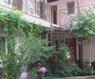 Гостевой дом «Розовый фламинго»: Витязево, Центральная улица, фото 1