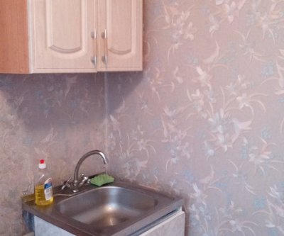 Уютная 1-комнатная квартира на время проведения ЧМ 2018: Нижний Новгород, улица Маршала Голованова, фото 4