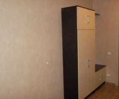 1-комнатная квартира, проспект Гагарина, 29Е: Нижний Новгород, проспект Гагарина, фото 3