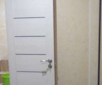 1-комнатная квартира, Волжская набережная, 9: Нижний Новгород, Волжская набережная, фото 2