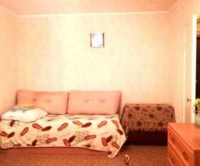 1-комнатная квартира, Коммунальная улица, 58А: Псков, Коммунальная улица, фото 4