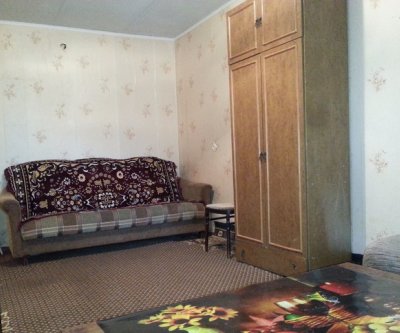 1-комн. квартира посуточно, 32 кв.м, 1/5 эт.: Арзамас, проспект Ленина, фото 2