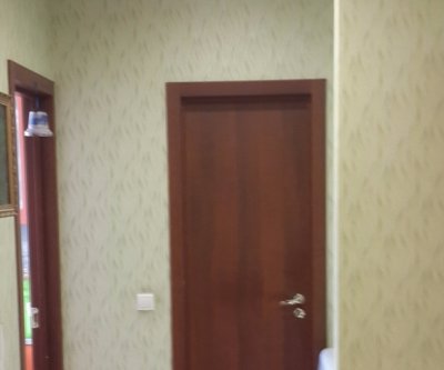Однокомнатная квартира рядом с жд: Жуковский, улица Горячева, фото 4