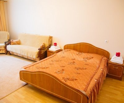 Апартаменты на 4 человек: Брянск, Бежицкая, фото 1