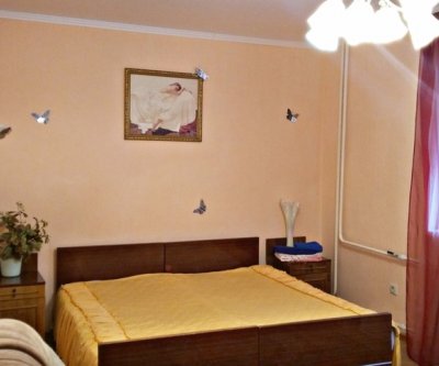 Квартира на сутки: Саранск, улица Володарского, фото 2