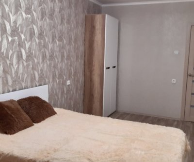 Квартира на сутки и часы: Саранск, улица Фурманова дом, фото 1
