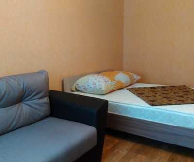 Уютная, чистая квартира посуточно: Рязань, улица Вишнёвая, фото 2