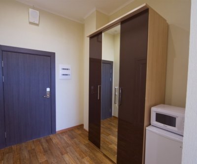 1-комн. квартира посуточно, 18 м², 8/11 эт.: Красноярск, Партизана Железняка, фото 3