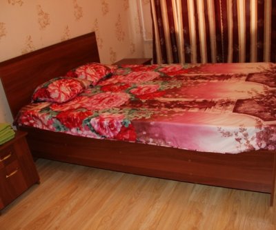 Красивая 2-комнатная квартира у Вокзала: Новосибирск, Вокзальная магистраль, фото 2