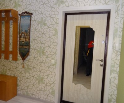 Уютная квартира с евроремонтом: Красноярск, улица Авиаторов, фото 4