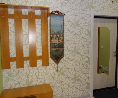 Уютная квартира с евроремонтом: Красноярск, улица Авиаторов, фото 3