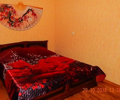 Уютная квартира в районе САМОЛЕТА: Брянск, Романа ого, фото 1