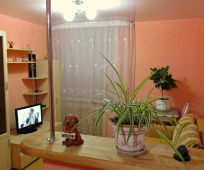 Чистая, уютная квартира в центре города: Вологда, улица Козлёнская, фото 4