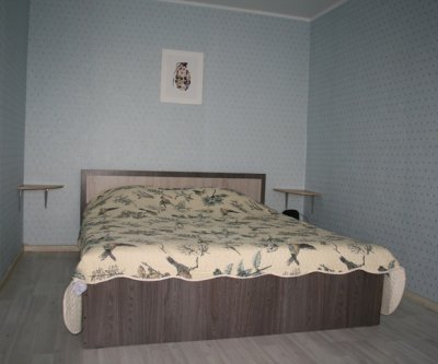 Квартира посуточно в центре города: Тверь, улица Трёхсвятская, фото 2