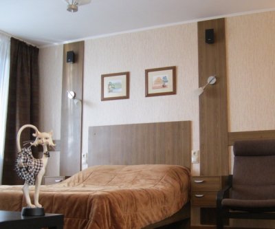 Отличная квартира, район «Дружбы»: Брянск, улица Литейная, фото 1