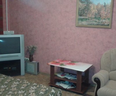 Квартира на часы и сутки Дзержинск: Дзержинск, улица Гагарина, фото 2