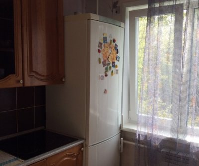 Комфортабельная квартира в Академгородке: Новосибирск, улица Золотодолинская, фото 5