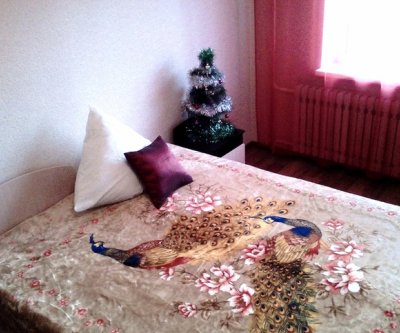 Уютные чистые апартаменты по пр.Победы: Оренбург, г. ул.Промышленная, фото 1
