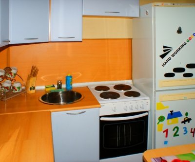 2-комн. квартира посуточно, 50 м², 4/5 эт.: Новосибирск, Красный проспект, фото 2