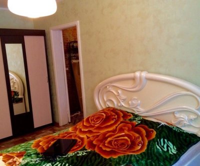 Квартира на сутки 2х комнатная: Новосибирск, улица Сибирская, фото 2
