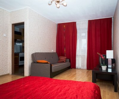 1-комнатная квартира у ж/д вокзала: Екатеринбург, улица Челюскинцев, фото 1