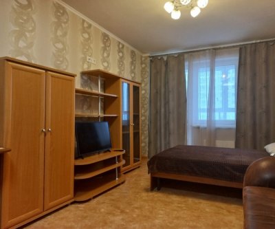 1-комнатная квартира Белые росы: Красноярск, Ярыгинская набережная, фото 2