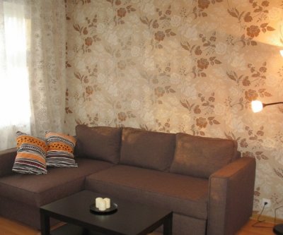 Уютная новая квартира в центре: Новосибирск, улица Крылова, фото 1