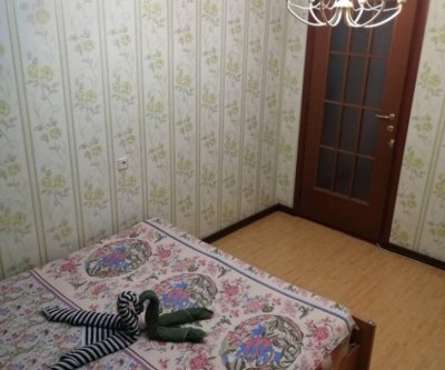 Чистая и уютная квартира!: Тольятти, улица Татищева, фото 2