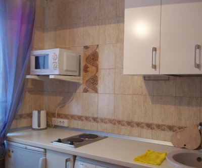 2-комн. квартира посуточно, 43 м², 1/5 эт.: Новосибирск, улица Гоголя, фото 1