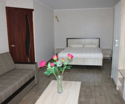 Уютная квартира недалеко от метро: Казань, улица Рихарда Зорге, фото 1