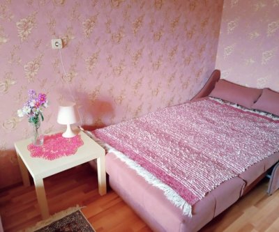 Уютная квартира для вас!: Омск, улица Конева, фото 3