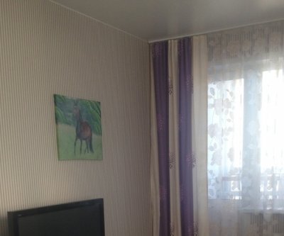 Уютная квартира со свежим ремонтом: Новосибирск, улица беловежская, фото 2