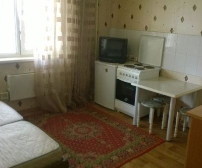 1-комн. квартира посуточно, 26 м², 4/10 эт.: Красноярск, улица Чернышевского, фото 2