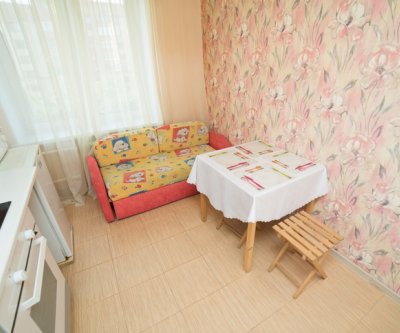 Уютная 1-комнатная в Центре : Челябинск, улица Советская, фото 3