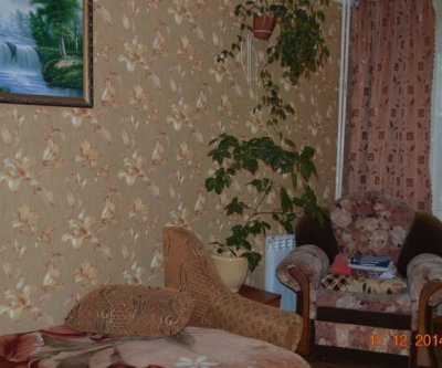 Уютная 1-комнатная квартира: Омск, улица Бородина, фото 3