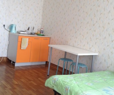 Квартира рядом с Предмостной: Красноярск, улица Карамзина, фото 5
