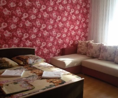 Уютная квартира в районе ТРЦ «Планета»: Красноярск, улица Авиаторов, фото 1