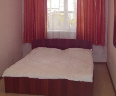 Уютная двухкомнатная квартира: Барнаул, улица Чкалова, фото 1