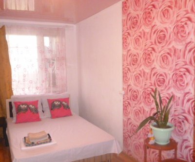 Уютная квартира «Роза»: Уфа, улица Менделеева, фото 1