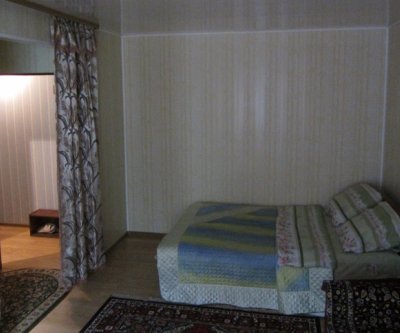 Уютная однокомнатная квартира: Воронеж, Писателя Маршака, фото 4