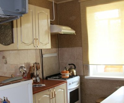 Комфортная и чистая квартира в р-не ЖБИ: Екатеринбург, улица Высоцкого, фото 5