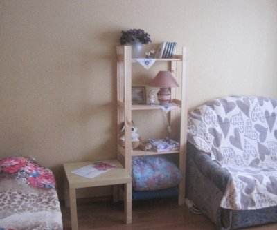 Сдам уютную 1-к квартиру недорого: Новосибирск, улица Петухова, фото 5