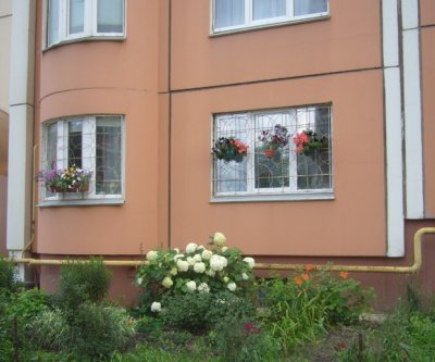 Квартира в новом доме: Воронеж, улица Пирогова, фото 1