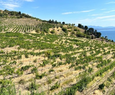 Отель Селена: Алушта, Набережная улица, фото 3