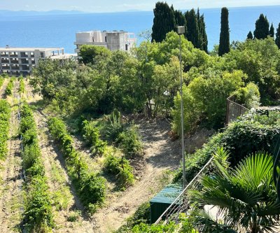 Отель Селена: Алушта, Набережная улица, фото 5