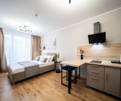 Inndays Apartments: Санкт-Петербург, Толубеевский проезд, фото 4