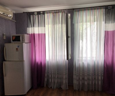 1-комнатная квартира с отдельным входом: Гурзуф, улица Подвойского, фото 5