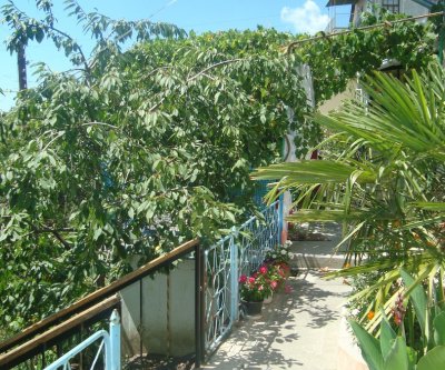 Двухкомнатная квартира с зеленым двориком и беседкой.: Алупка, улица Калинина, фото 3