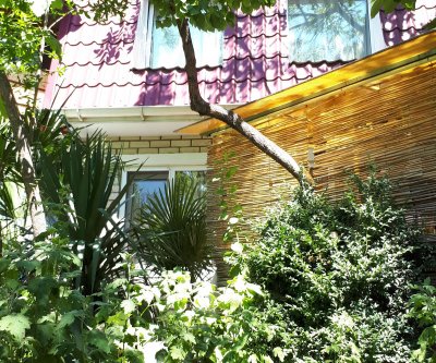 Первый этаж коттеджа, тонущего в зелёном саду: Гурзуф, улица Подвойского, фото 1